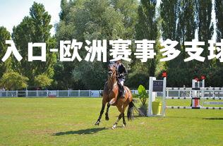 pg模拟器试玩入口-欧洲赛事多支球队的胜利战报